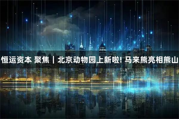 恒运资本 聚焦｜北京动物园上新啦! 马来熊亮相熊山